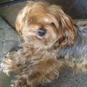 Meet your Posher, Melody